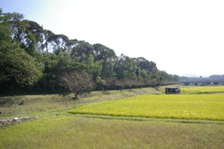 福岡側（海側）から見た水城